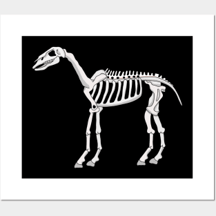 A Skeleton of a Horse Posters and Art